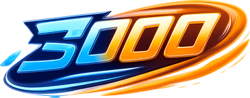 3000